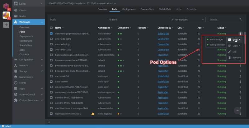 Lens Kubernetes IDE Explained: Improve Development and Cluster Management Productivity 5 Pod options inside Lens