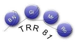 TRR81/3-Z04 ; Project: Chemoinformatic, Medicinal Chemistry & Peptidomimetics financed by Deutsche Forschungsgemeinschaft (DFG)