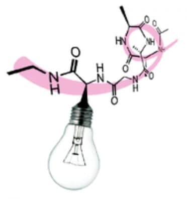 Peptide-based fluorescent biosensors.
