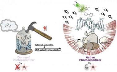 Conditional singlet oxygen generation via DNA-targeted tetrazine bioorthogonal reaction