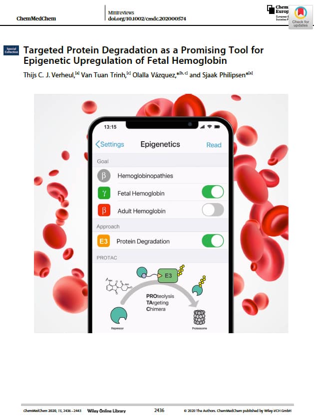 Targeted protein degradation as a promising tool for epigenetic upregulation of fetal hemoglobin