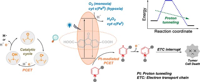 Proton tunneling allows a proton-coupled electron transfer process in the cancer cell