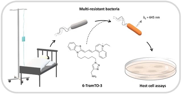 A Far-red fluorescent DNA binder for interaction studies of live multidrug-resistant pathogens and host cells