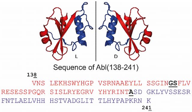 Synthesis of the L- and D-SH2 domain of the leukaemia oncogene Bcr-Abl