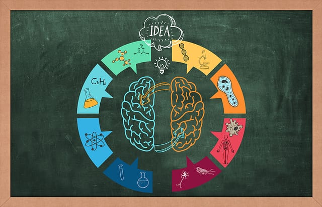 Spicing up an interdisciplinary chemical biology course with the authentic big picture of epigenetic research