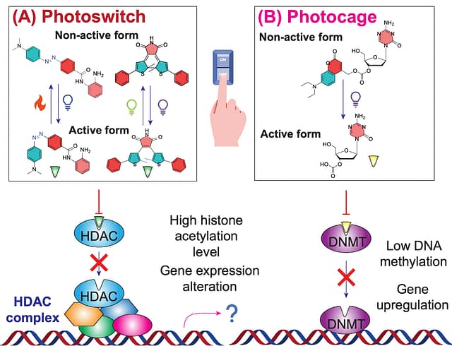 Enlightening epigenetics: optochemical tools illuminate the path