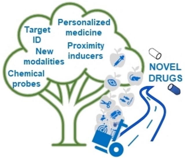 EFMC: Trends in Medicinal Chemistry and Chemical Biology