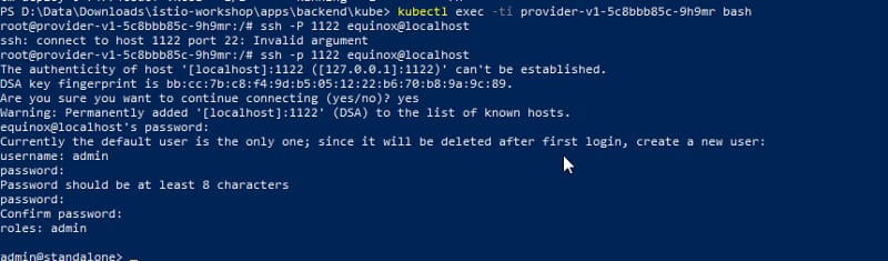 Kubernetes Probes for a TIBCO BusinessWorks Container Edition Application 33 Kubernetes Probes for a TIBCO BusinessWorks Container Edition Application